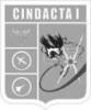 CINDACTA 1