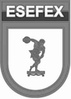 ESEFEX